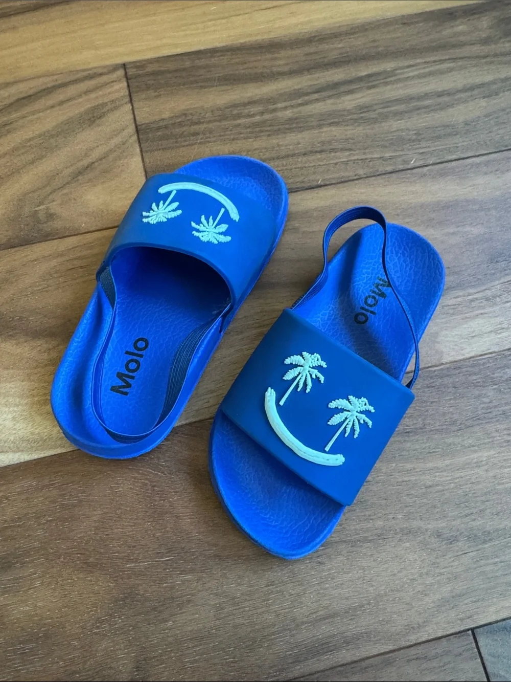 Molo Royal Blue Palm Slide Sandals